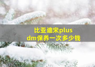 比亚迪宋plus dm保养一次多少钱